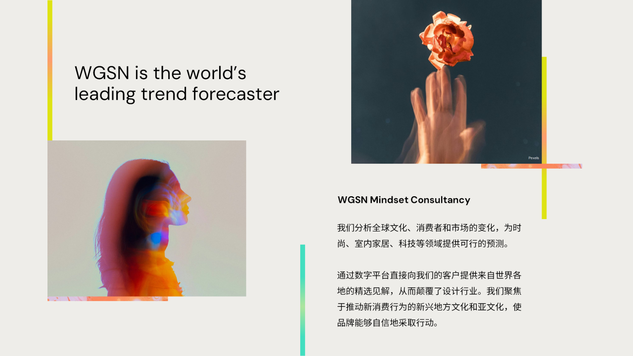 讓自然新生 | SORONA&reg;聯合WGSN發布《生物基功能纖維應用趨勢白皮書》
